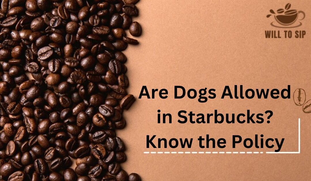 Are Dogs Allowed in Starbucks? Know the Policy